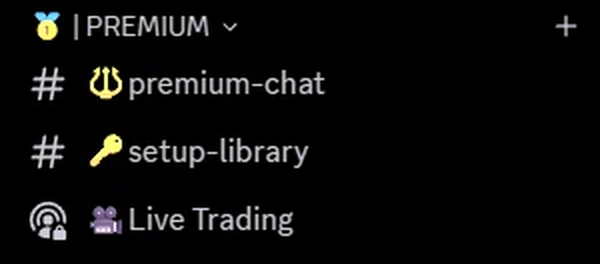 Premium channels in the Zulz Trades Discord: premium-chat, setup-library and Live Trading